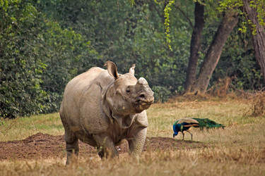 Similar image 5985734