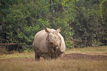 Similar image 5985735