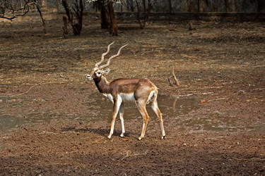 Similar image 5985740