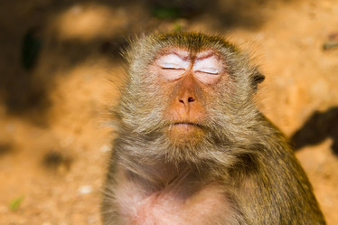 Similar image 5985745