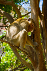 Similar image 5985746