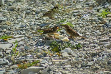 Similar image 5985753