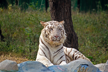 Similar image 5985754