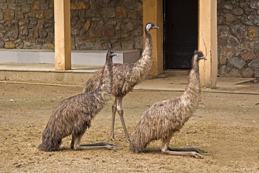 Similar image 5985755