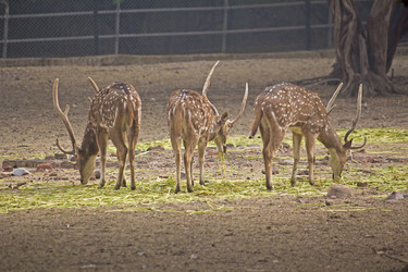 Similar image 5985756