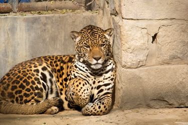 Similar image 5985758