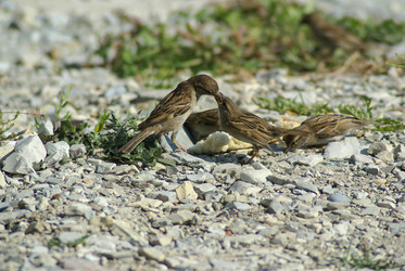 Similar image 5985773