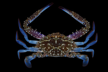 Similar image 5985813