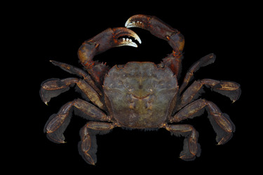 Similar image 5985814