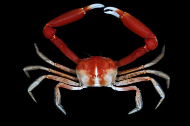 Similar image 5985816