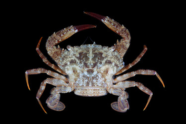 Similar image 5985817