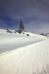 Similar image 5985829