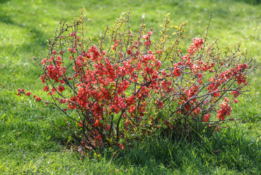 Similar image 5985833