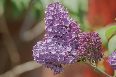 Similar image 5985873