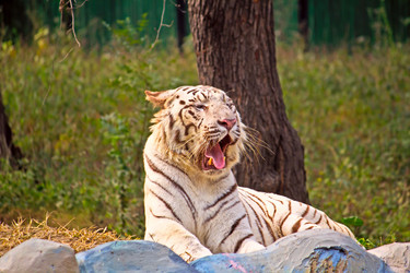 Similar image 5985891