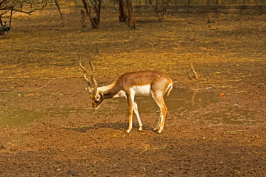 Similar image 5985901