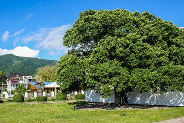 Similar image 5985909