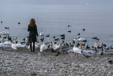 Similar image 5985940