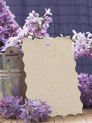 Similar image 5985962