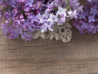 Similar image 5985963