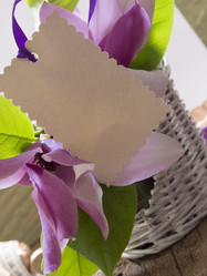 Similar image 5985968