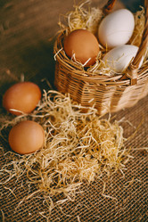 Similar image 5986272