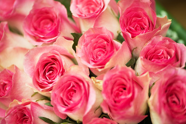 Similar image 5986497