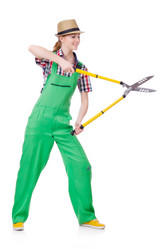 Similar image 5986730