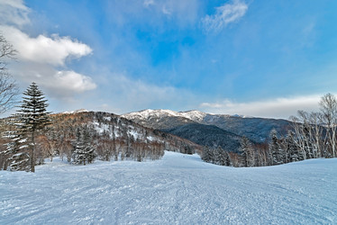 Similar image 5987292