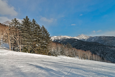 Similar image 5987293