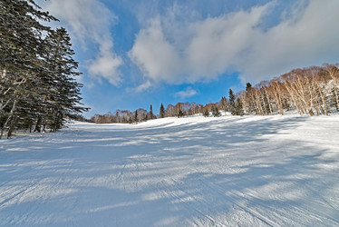 Similar image 5987294