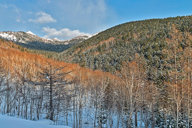 Similar image 5987298