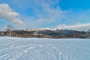 Similar image 5987300