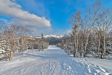 Similar image 5987301