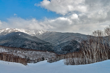 Similar image 5987302