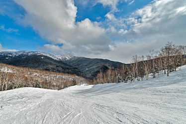 Similar image 5987305