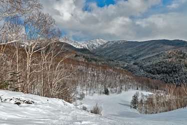 Similar image 5987307