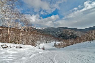 Similar image 5987308