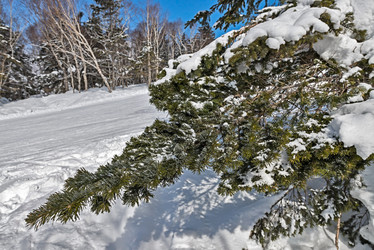 Similar image 5987315