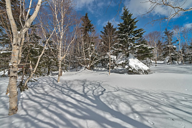 Similar image 5987318