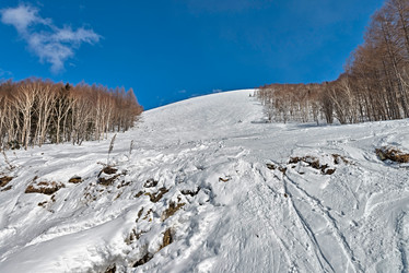 Similar image 5987319