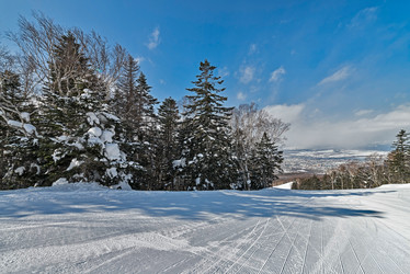 Similar image 5987327