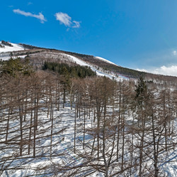 Similar image 5987329