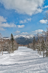 Similar image 5987336