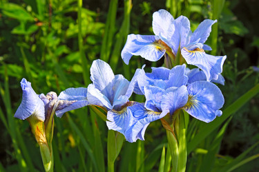 Similar image 6010165