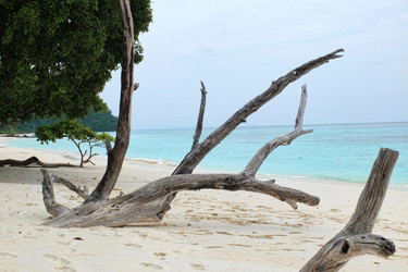 Similar image 6010189