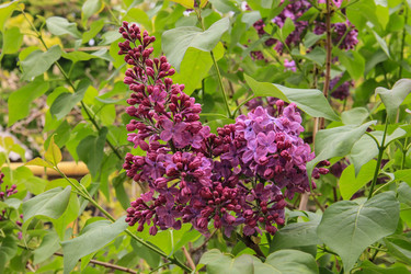 Similar image 6010214