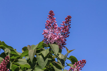 Similar image 6010215