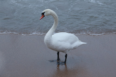 Similar image 6010216