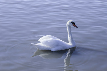 Similar image 6010217